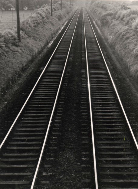 Railway Lines Photo: Frank Tubridy