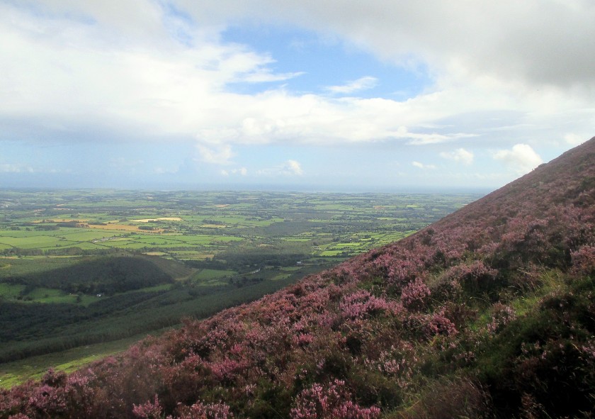 Heathery Climb with the Co. Waterford Coastline in the Distance